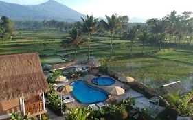 Tetebatu Flush Harmony